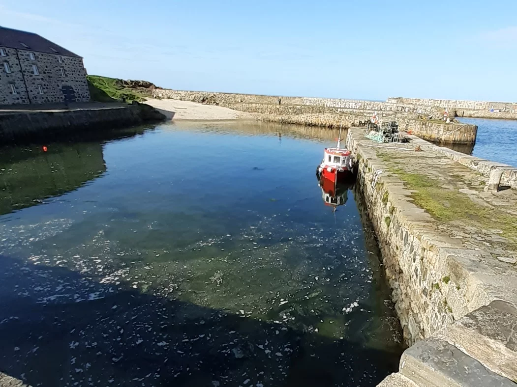 The historic stone-built harbour at Portsoy on our Moray Coast and Speyside Tour. The sky is blue, the water is still and a single red-hulled boat is tied to the breakwater. An old warehouse stands on the harbourside to the left.