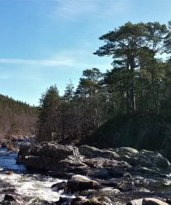 Tumbling river rapids, lots of rocks and boulders, white water and blue water all fill the foreground of this Loch Ness and Glen Affric Tour image. The banks are clothed in Caledonian pine, some small deciduous trees, and in the distance on a hill to the left, some other pines. The sky is blue.