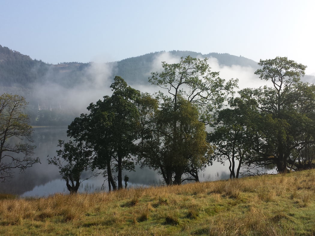 Grass occupies the near foreground, and then a single line of deciduous tress fringing a lake shore. The sky above is blue, and partially reflected in the lake, but a white early morning mist over the water obscures much. On the far shore a wodded hill rises, and at it's foot, just emerging from the mist are three towers of a castle.