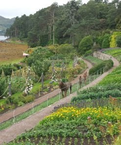 inverewe-gardens-Clan-mackenzie 3 day tour